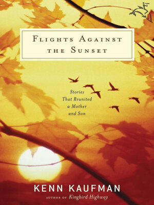 cover image of Flights Against the Sunset